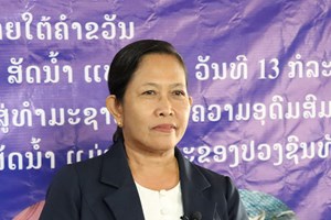 ປີນີ້ ລັດຖະບານ ມີແຜນປ່ອຍປາ ແລະ ສັດນໍ້າ ໃຫ້ໄດ້ຫຼາຍກວ່າ 65 ລ້ານໂຕ