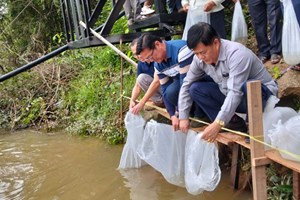 ປາກກະດິງ ປ່ອຍລູກປາ 20,000 ໂຕ ລົງສູ່ແມ່ນ້ຳທຳມະຊາດ