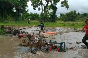 ຄໍາມ່ວນປັກດໍາເຂົ້ານາປີສໍາເລັດ84,816 ເຮັກຕາ