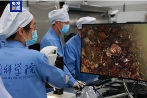 ສະຖາ​ບັນ​ວິທະຍາສາດ​ຈີນ ​ນໍາສະເໜີຜົນການຄົ້ນຄວ້າຕົວຢ່າງຢູ່ພື້ນຜິວດວງຈັນ