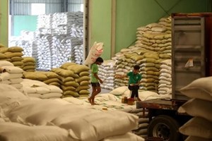 ສະຫະພັນເຂົ້າມຽນມາ ວາງແຜນຈະນຳໃຊ້ພະລັງງານແສງຕາເວັນ ໃນໂຮງສີເຂົ້າ