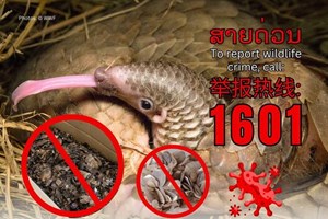 ການດໍາເນີນຄະດີຕໍ່ກັບການກະທໍາຜິດກ່ຽວກັບຊັບພະຍາກອນທໍາມະຊາດ ແລະ ສິ່ງແວດລ້ອມ