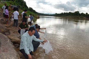 ເຊກອງ ປ່ອຍປາ 10 ພັນໂຕ ສະຫລອງວັນປ່ອຍປາ ແລະ ສັດນໍ້າແຫ່ງຊາດ