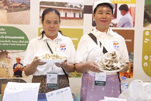 ປູກເຫັດຂາຍພາໃຫ້ຊີວິດການເປັນຢູ່ຂອງສະມາຊິກພາຍໃນກຸ່ມດີຂຶ້ນ