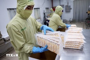 ຫວຽດນາມ ​ສົ່ງ​ອອກ​ເກີນ​ດຸນ​​ຜະ​ລິດ​ຕະ​ພັນກະ​ເສດ ເຄື່ອງ​ປ່າ​ຂອງ​ດົງ ແລະ ສິນ​ໃນ​ນ້ຳ ​ບັນ​ລຸ 11 ຕື້ກວ່າໂດລາ