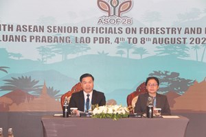 ສປປ ລາວ ເຈົ້າພາບຈັດກອງປະຊຸມເຈົ້າໜ້າທີ່ອາວຸໂສປ່າໄມ້ອາຊຽນ ຄັ້ງທີ 28