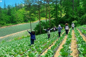 ປະຈຸບັນມີຄົນລາວອາໃສຢູ່ ສ.ເກົາຫຼີ 15,000 ຄົນ