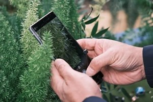 ອິນເດຍ ຜ່ານຮ່າງກົດໝາຍຫ້າມການບໍລິການເກມອອນລາຍກ່ຽວກັບເງິນ