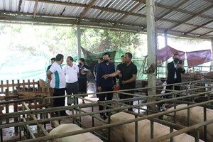 ຄະນະຮັບຜິດຊອບ ນະໂຍບາຍສິນເຊື່ອແຂວງຄໍາມ່ວນ ລົງຕິດຕາມ ຫົວໜ່ວຍທຸລະກິດທີ່ໄດ້ຮັບແຫຼ່ງທຶນ