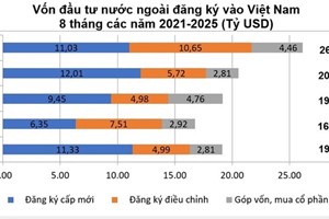 8 ເດືອນ​ຕົ້ນ​ປີ ທຶນ FDI ຂອງຫວຽດນາມ ບັນ​ລຸ​ 15,4 ຕື້ໂດລາ