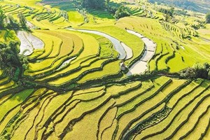 ໂຄງ​ການ​ລະ​ບາຍ​ນ້ຳ​ 4 ແຫ່ງຂອງ​ຈີນ ​ໄດ້​​ຈັດ​ເຂົ້າ​ໃນ​ບັນ​ຊີ​ລາຍ​ຊື່​ມໍ​ລະ​ດົກ​ໂຄງ​ການ​ຊົນ​ລະ​ປະ​ທານ​ໂລກ