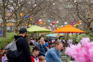 ອົສຕຣາລີ ຄາດວ່າຈະມີ 1 ລ້ານກວ່າຄົນ ເປັນໂຣກສະໝອງເສື່ອມໃນປີ 2065