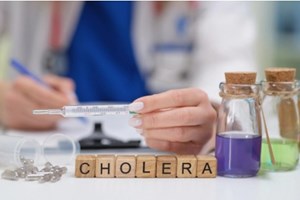 ການ​ເສຍ​ຊີວິດ​ຈາກພະຍາດ​ອະຫິວາ​ ເພີ່ມ​ຂຶ້ນ​ 50% ໃນປີດຽວ