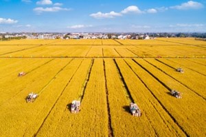 ຈີນ ​​ສ້າງ​ດິນ​ປູກ​ຝັງ​ມາດ​ຕະ​ຖານ​ສູງ​ຫຼາຍກວ່າ 66 ​ລ້ານ​ເຮັກ​ຕາ