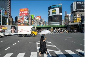 ຍີ່ປຸ່ນ ກວດພົບພະຍາດໝາກສຸກລີງ ສາຍພັນ clade 1b