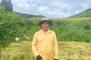 ຊາວກະສິກອນ ບ້ານສົມບຸນ ຂຸ້ນຂ້ຽວເກັບກ່ຽວເຂົ້ານາປີ