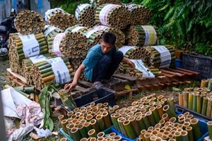 ມາເລເຊຍ ຈະຂະຫຍາຍອຸດສາຫະກຳໄມ້ໄຜ່ ເພື່ອຕອບສະໜອງຄວາມຕ້ອງການຕະຫຼາດໂລກ