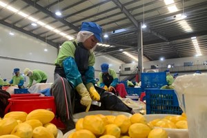 ກຳປູເຈຍ ສົ່ງອອກສິນຄ້າກະສິກຳ 9 ເດືອນທຳອິດ ບັນລຸ 3.88 ຕື້ໂດລາ