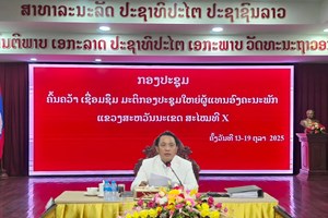 ຄະນະບໍລິຫານງານພັກແຂວງເຊື່ອມຊຶມ,ຜັນຂະຫຍາຍເນື້ອໃນກອງປະຊຸມໃຫຍ່ຜູ້ແທນອົງຄະນະພັກ ຄັ້ງທີ X