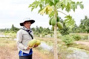 ນັກທຸລະກິດໜຸ່ມຕັ້ງໃຈຢາກປ່ຽນແປງພື້ນທີ່ແຫ້ງແລ້ງກາຍມາເປັນພື້ນທີ່ສວນທີ່ອຸດົມສົມບູນ