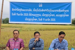 ເມືອງຫຼວງນໍ້າທາ ເປີດຂະບວນການສັກຢາປ້ອງກັນພະຍາດສັດແຫ່ງຊາດ