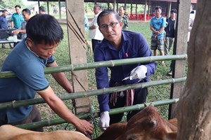 ປາກກະດິງ ເປີດຂະຂວນການສັກວັກຊີນປ້ອງກັນພະຍາດສັດ ປະຈຳປີ 2025