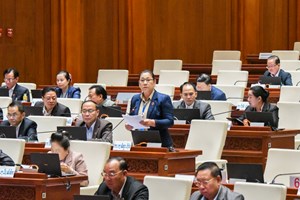 ສສຊ ປະກອບຄໍາເຫັນໂດຍເນັ້ນໃສ່ ບັນຫາການດຳເນີນຄະດີ ທີ່ຍັງຊັກຊ້າ