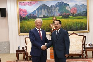 ຄະນະຜູ້ແທນ ຄະນະສັນຕິພາບຫວຽດນາມ ຢ້ຽມຢາມ ແລະ ເຮັດວຽກ ຢູ່ ສປປ ລາວ