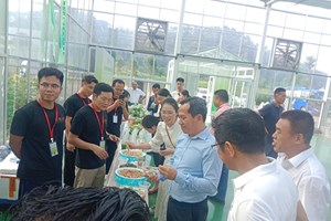 ພຶດຕິກຳຕົວຈິງ ຈີນ-ລາວ ສ້າງແບບຢ່າງໃໝ່ແຫ່ງການຮ່ວມມື