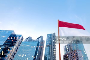 ອິນໂດເນເຊຍ ຈະຢຸດຕິການນຳເຂົ້ານໍ້າມັນກາຊວນ