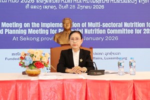 ສະຫຼຸບການຈັດຕັ້ງປະຕິບັດວຽກງານດ້ານໂພຊະນາການຂັ້ນແຂວງປະຈຳປີ 2025