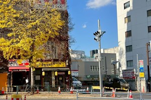 ສິ່ງພິມຂອງຍີ່ປຸ່ນກຳລັງຕົກຢູ່ໃນວິດການທີ່ຮ້າຍແຮງ