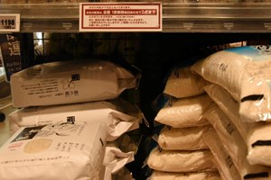 ປີ 2025 ຍີ່ປຸ່ນ ສົ່ງອອກເຂົ້າສູງສຸດເປັນປະຫວັດການ