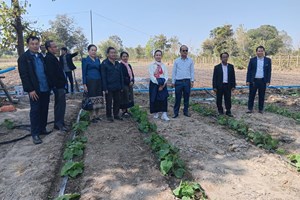 ການປູກພືດລະດູແລ້ງຢູ່ແຂວງຄໍາມ່ວນຄາດຈະໃຫ້ສໍາເລັດໃນທ້າຍເດືອນກຸມພານີ້