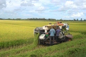 3 ເດືອນຕົ້ນປີ ການສົ່ງອອກຜະລິດຕະພັນກະເສດ ແລະ ສິນໃນນໍ້າ ຂອງຫວຽດນາມ ບັນລຸ 16,69 ຕື້ໂດລາ