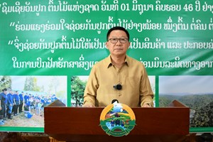 ທົ່ວປະເທດ ຈະປູກຕົ້ນໄມ້ໃນເນື້ອທີ່ ປະມານ 7,300 ກວ່າເຮັກຕາ