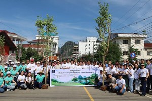 ເມືອງວັງວຽງ ສ້າງຂະບວນການປູກຕົ້ນໄມ້ເພີ່ມພື້ນທີ່ສີຂຽວ ແລະ ຮັກສາສິ່ງແວດລ້ອມ