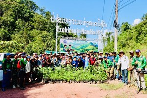 ພັນໄມ້ທີ່ມີຄຸນຄ່າຫຼາຍກວ່າ 400 ຕົ້ນ ຖືກນໍາມາປູກຕາມເສັ້ນທາງທ່ອງທ່ຽວຍ່າງປ່າ ໃນປ່າສະຫງວນແຫ່ງຊາດນໍ້າຫ້າ