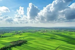 ຈີນ ວາງແຜນເລັ່ງລັດການຫັນກະສິກຳ ແລະ ຊົນນະບົດສູ່ຄວາມທັນສະໄໝ
