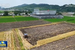 ຈີນ ສຳ​ເລັດ​ການ​ເກັບ​ກ່ຽວ​ເຂົ້າ​​ຫວີດ ​ເກືອບ 60%