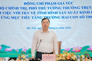 ຫວຽດນາມ ລົງ​ເລິກພັດ​ທະ​ນາ​ອຸດ​ສາ​ຫະ​ກຳ​ປຸງ​ແຕ່ງ ​ແຮ່​ທາດ​ຍຸດ​ທະ​ສາດ