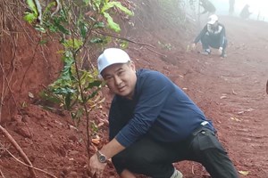 ເມືອງຊານໄຊ ປູກຕົ້ນແມັກຄາເດເມຍ ຢູ່ເຂດພູແດງ