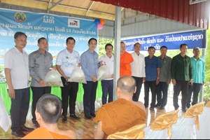 ເມືອງໂຂງ ປ່ອຍປາ ລົງສູ່ແຫຼ່ງທຳມະຊາດ