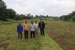 ຊາວ​ນາ​ເມືອງ​ບໍ່​ແຕນໄດ້​ຮັບ​ຜົນ​ກະ​ທົບ​ຈາກ​ໄພ​ທຳ​ມະ​ຊາດ-ສັດ​ຕູ​ພືດ