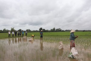 ພະແນກ ກ​ສ - ມຸນລະປາໂມກ ລົງຊຸກຍູ້ການປັກດຳເຂົ້ານາປີ