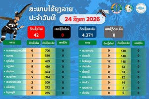 ພະຍາດໄຂ້ຍຸງລາຍ ເກີດຍ້ອນຍຸງລາຍເປັນພາຫະນໍາເຊື້ອ