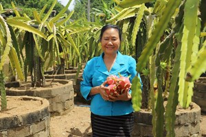 ຈາກ​ການ​ນຳ​ຂັ້ນ​ສູງ​​ຂອງ​ແຂວງກ້າວ​ສູ່​​ຜະ​ລິດກະ​ສິ​ກຳປອດສານພິດ ຫຼັງ​ບຳ​ນານ