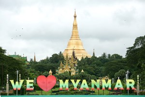 ມຽນມາ ມີອາໂວກາໂດ 20,000 ໂຕນ ພ້ອມທີ່ຈະສົ່ງອອກ