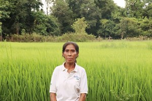 ຈາກຄອບຄົວທຸກຍາກ ສູ່ຄອບຄົວມີລາຍຮັບ ແລະ ເພິ່ງພາຕົນເອງ ດ້ວຍການປູກເຂົ້າ