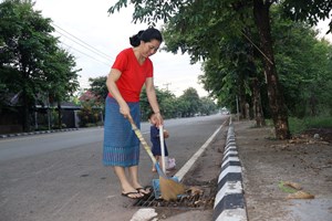 ໄມ້ກ້ານຟອຍແບບຢ່າງ ສູ່ການປ່ຽນແປງຂອງຊຸມຊົນ ທີ່ສະອາດ ແລະ ສວຍງາມ